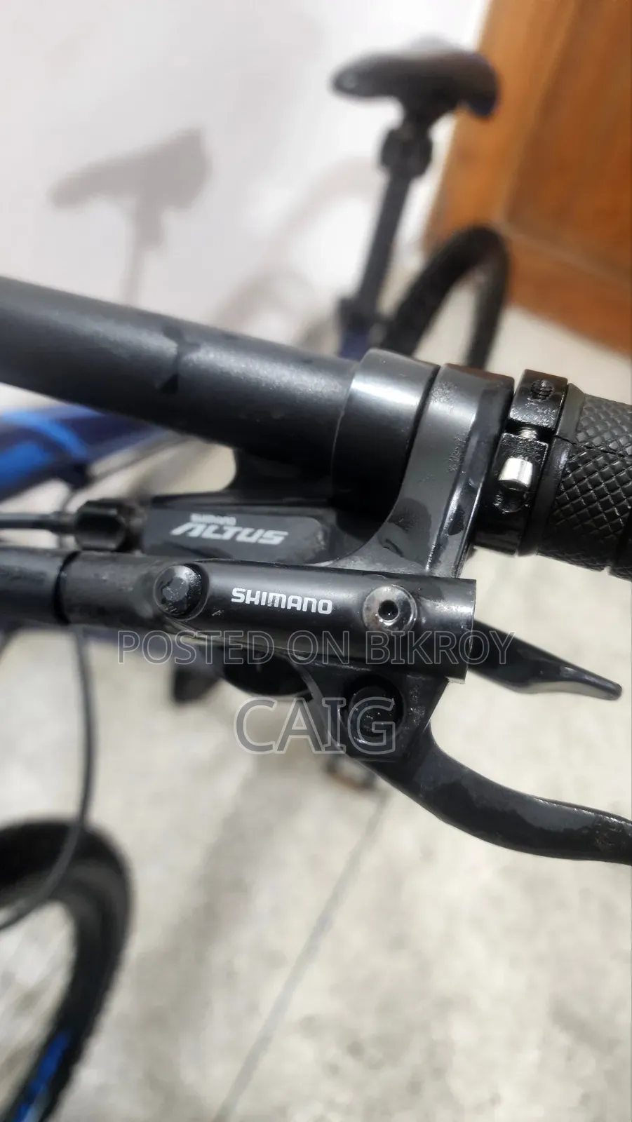 Veloce Legion 50 Blue(2023)