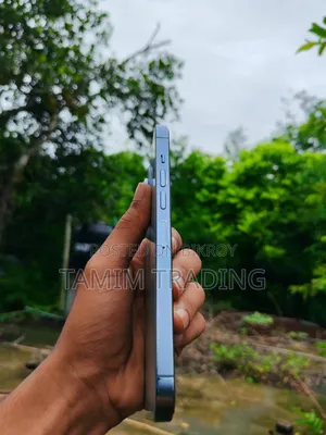 Apple iPhone 13 Pro Max 256 GB Silver