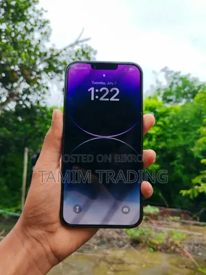 Apple iPhone 13 Pro Max 256 GB Silver