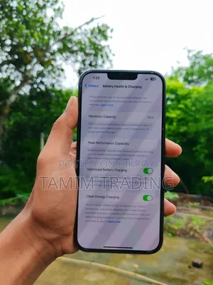 Apple iPhone 13 Pro Max 256 GB Silver