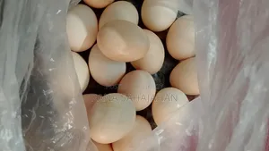 দেশি মুরগির ডিম