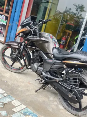 হিরো হাঙ্ক ২০১৭ ব্রাউন