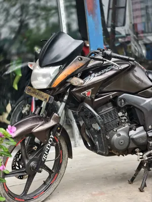 হিরো হাঙ্ক ২০১৭ ব্রাউন