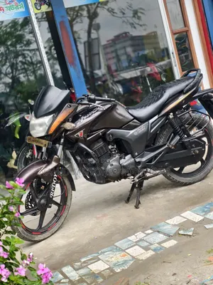 হিরো হাঙ্ক ২০১৭ ব্রাউন