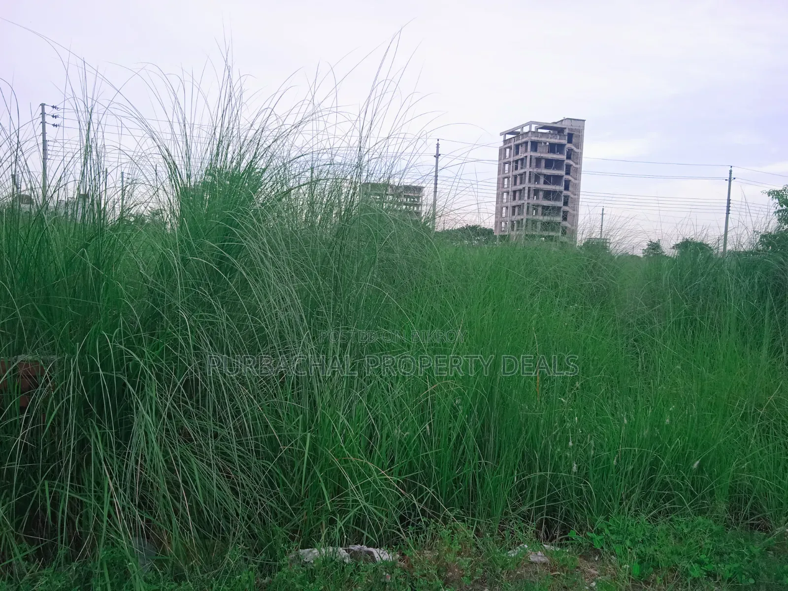 আফতাবনগরের G ব্লকে প্রাইম লোকেশনের ৫ কাঠার প্লট বিক্রয়!