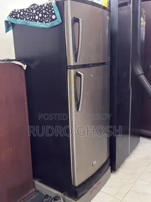 সিঙ্গার রেফ্রিজারেটর (ফ্রেশ কন্ডিশন)