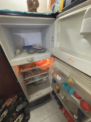 সিঙ্গার রেফ্রিজারেটর (ফ্রেশ কন্ডিশন)
