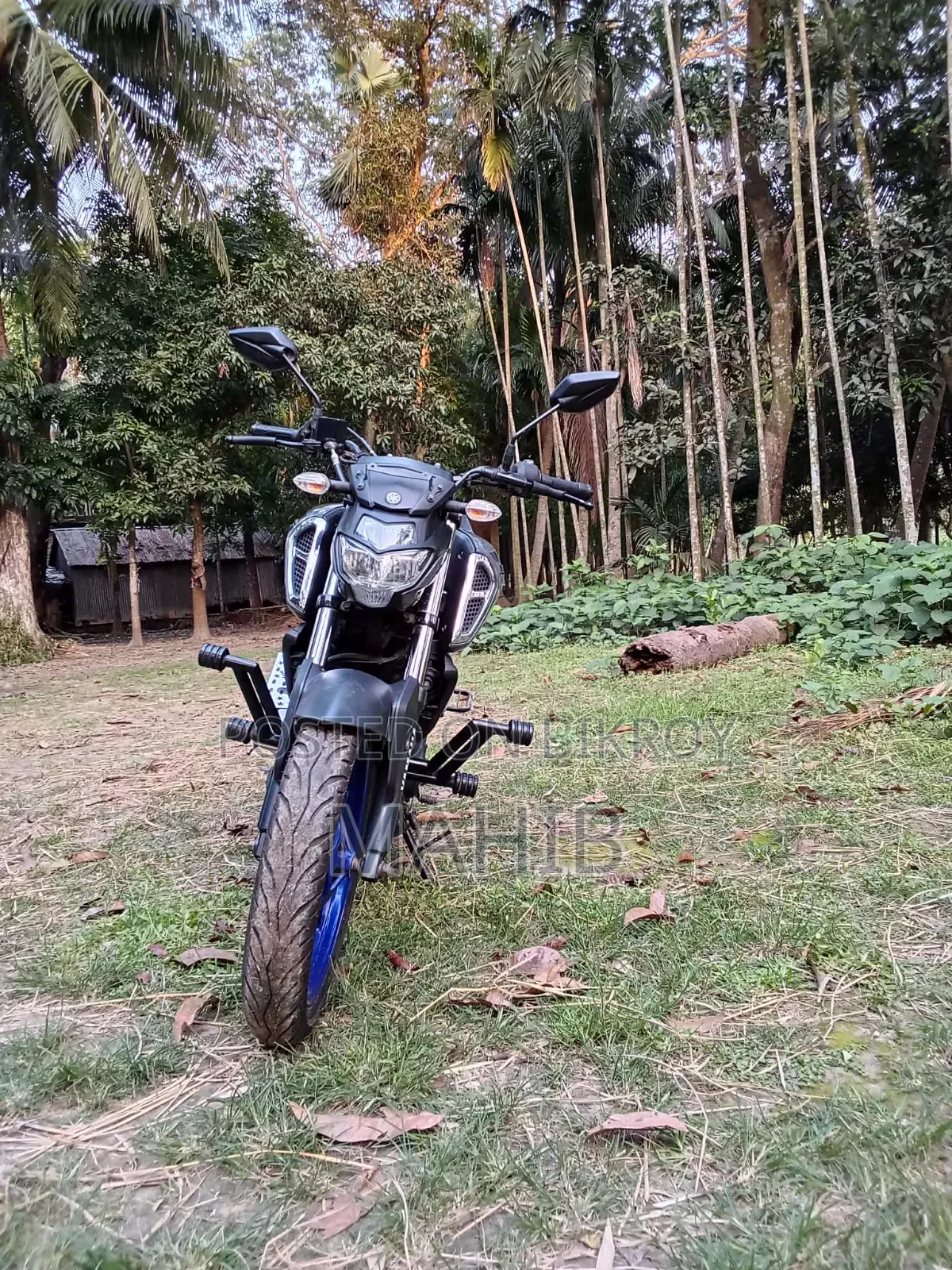 Yamaha FZS V3 2025 Gray