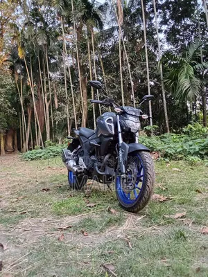 Yamaha FZS V3 2025 Gray