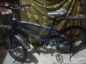 Baby Rider