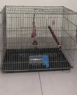Steel Bird Cage