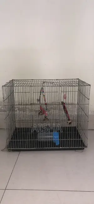 Steel Bird Cage