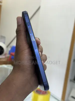 অ্যাপল আইফোন ১৫ প্রো ম্যাক্স ২৫৬ জিবি নীল