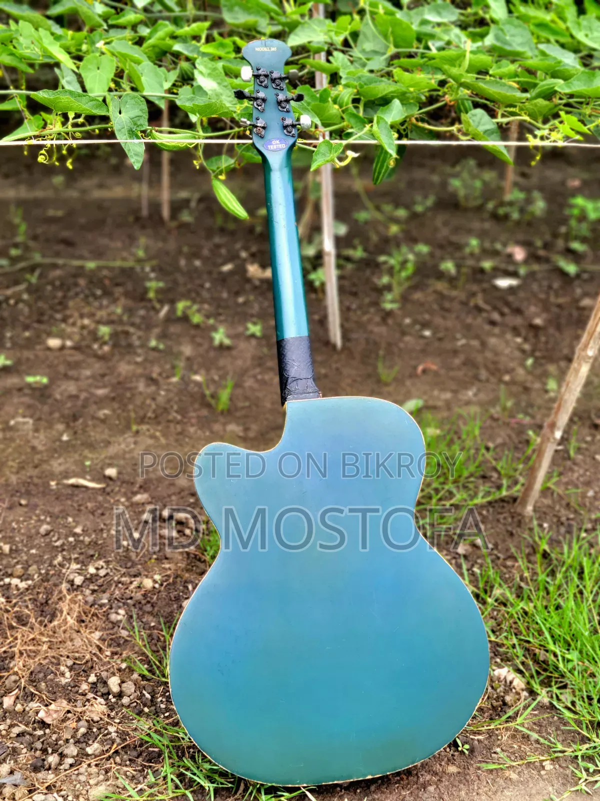 Guitar Signature Topaz 265