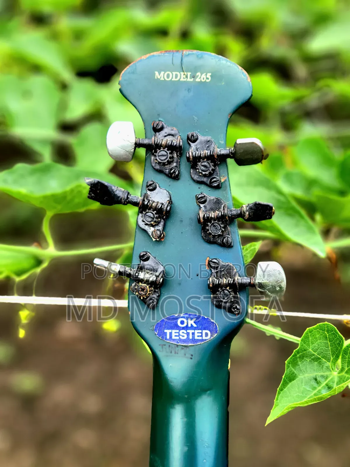 Guitar Signature Topaz 265