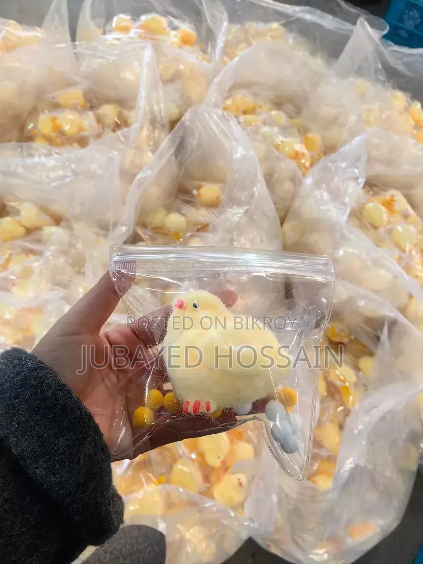 হ্যামস্টার স্কুইশি