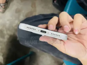 অ্যাপল আইফোন ১৭ প্রো ম্যাক্স ২৫৬ জিবি সিলভার