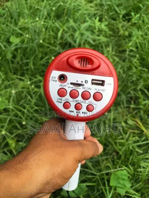Hand Mic