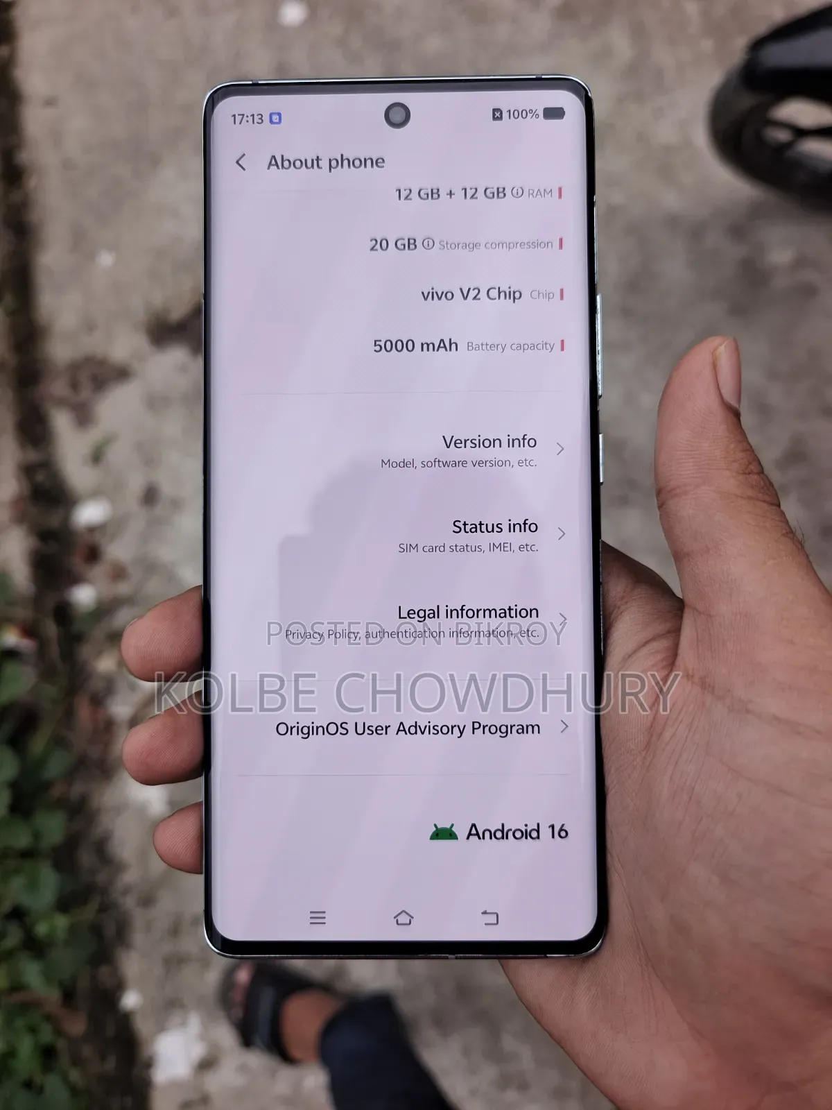 ভিভো এক্স১০০ ২৫৬ জিবি ব্লু
