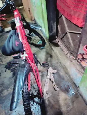 Urgent sale of this bicycle
