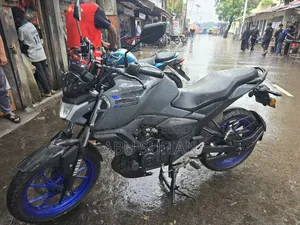 Yamaha FZ 2023 Gray