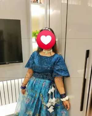 Organza Customised Lehenga