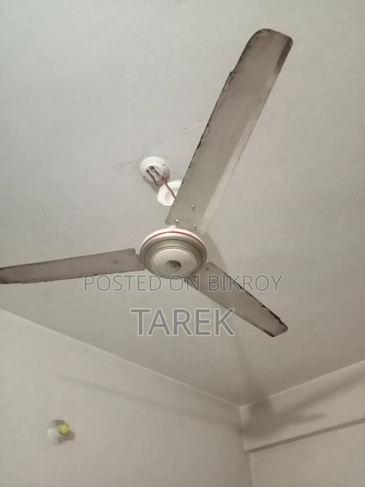 Ceiling Fan