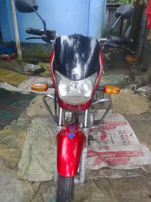 Bajaj 2010 Brown