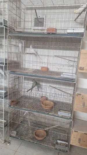 Used Bird Cage