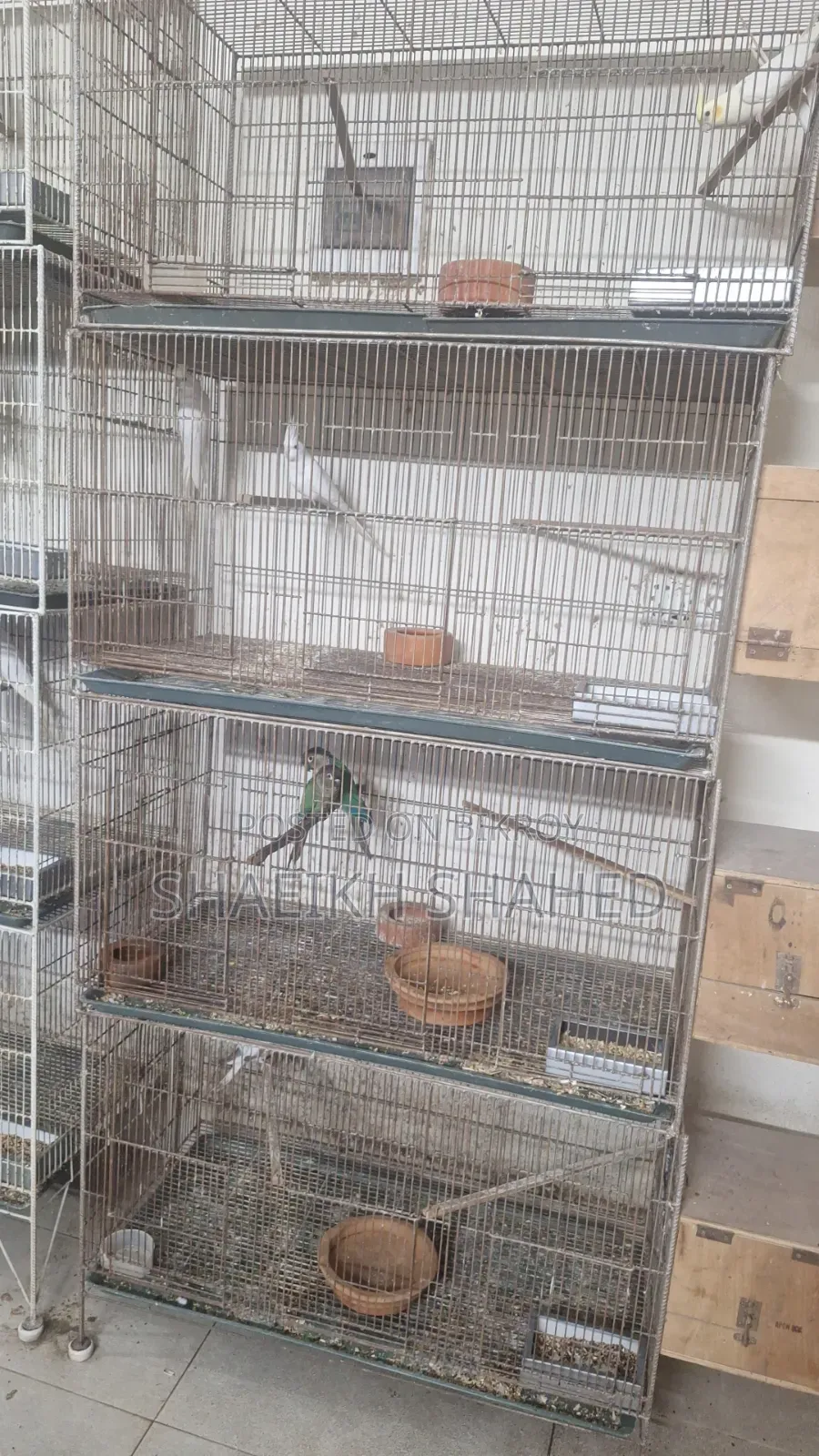Used Bird Cage