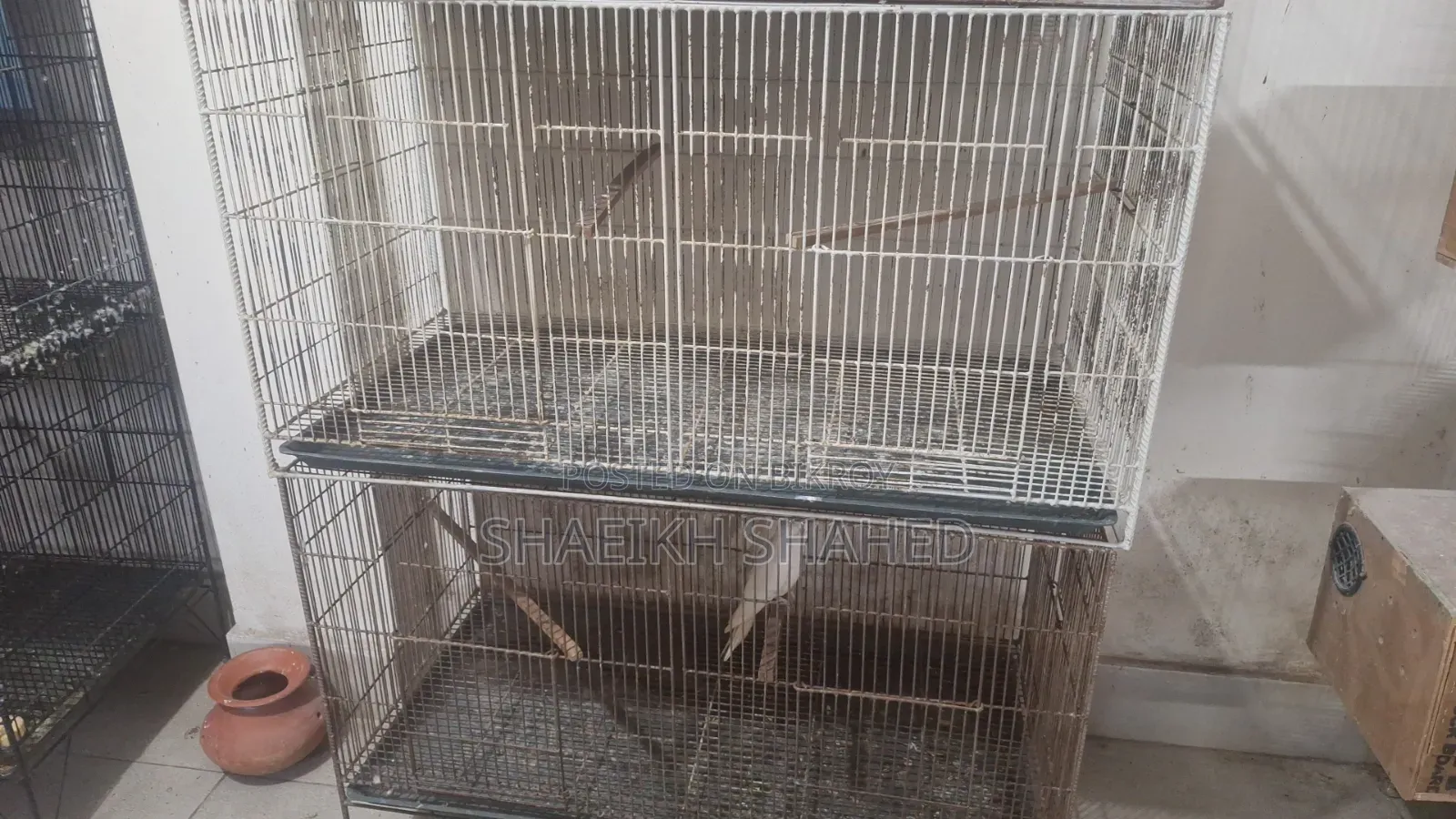 Used Bird Cage