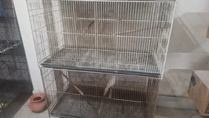 Used Bird Cage