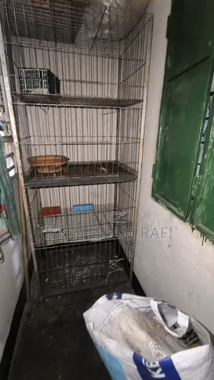 Pigeon Cage