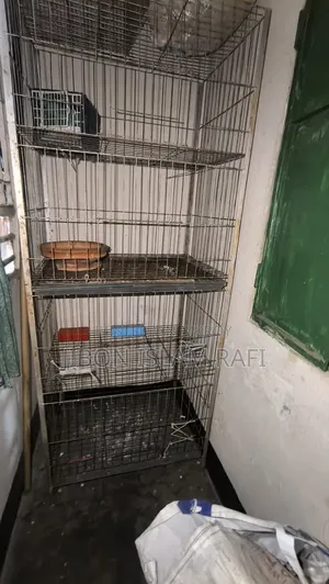 Pigeon Cage
