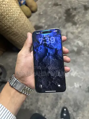 Apple iPhone 15 Pro Max 256 GB Silver