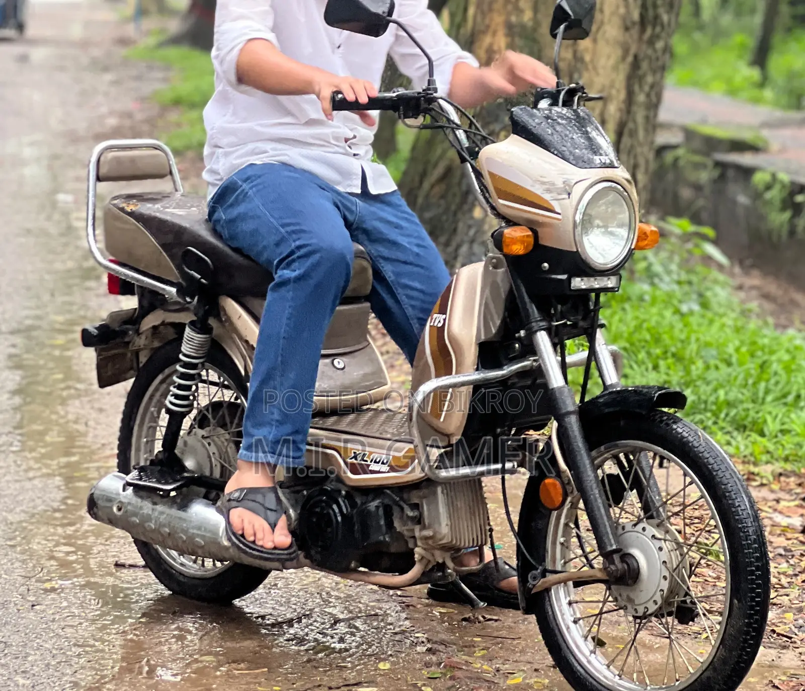TVS XL 100 2022 Gold