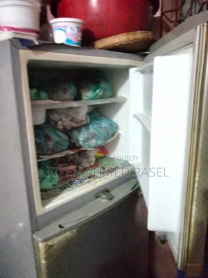 ওয়ালটন ফ্রিজ