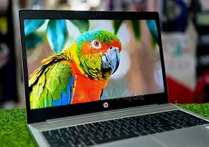 Laptop HP ProBook 450 G6 8GB Intel Core I7 SSD 256GB