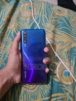 ভিভো ওয়াই১৭ ১২৮ জিবি ব্লু
