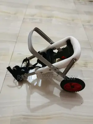 বিড়াল ও কুকুরের হুইলচেয়ার