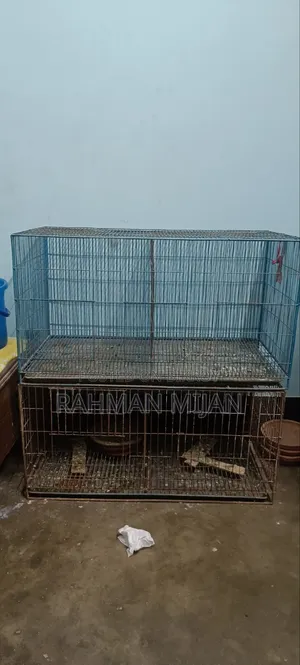 ২ টি খাঁচা বিক্রয় করা হইবে