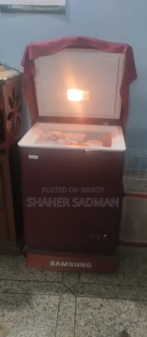 100L Freezer