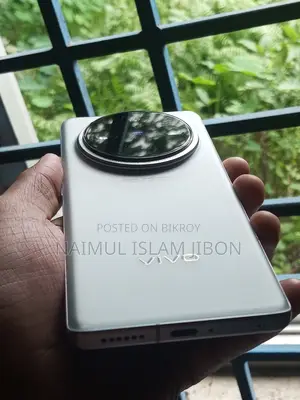 Vivo X100 Pro 512 GB Silver