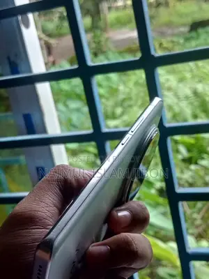 Vivo X100 Pro 512 GB Silver