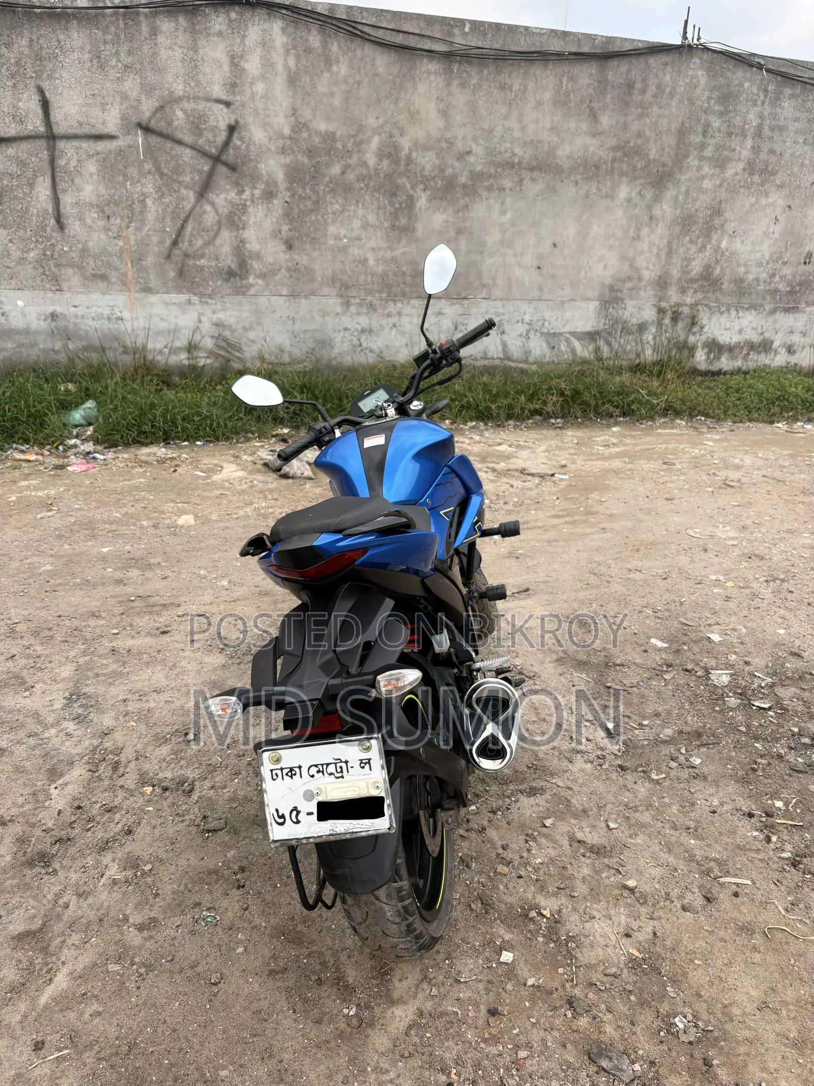 Suzuki 2024 Blue