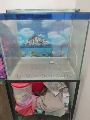 Aquarium With Stand and Filter