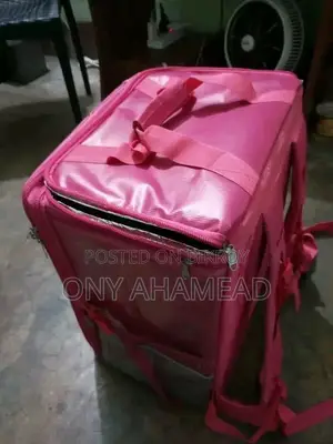 Foodpanda Bag