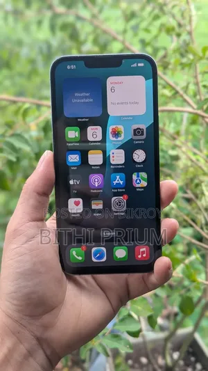 অ্যাপল আইফোন ১৩ প্রো ম্যাক্স ২৫৬ জিবি গ্রে