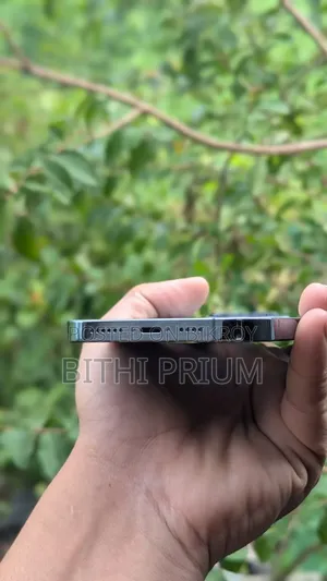অ্যাপল আইফোন ১৩ প্রো ম্যাক্স ২৫৬ জিবি গ্রে