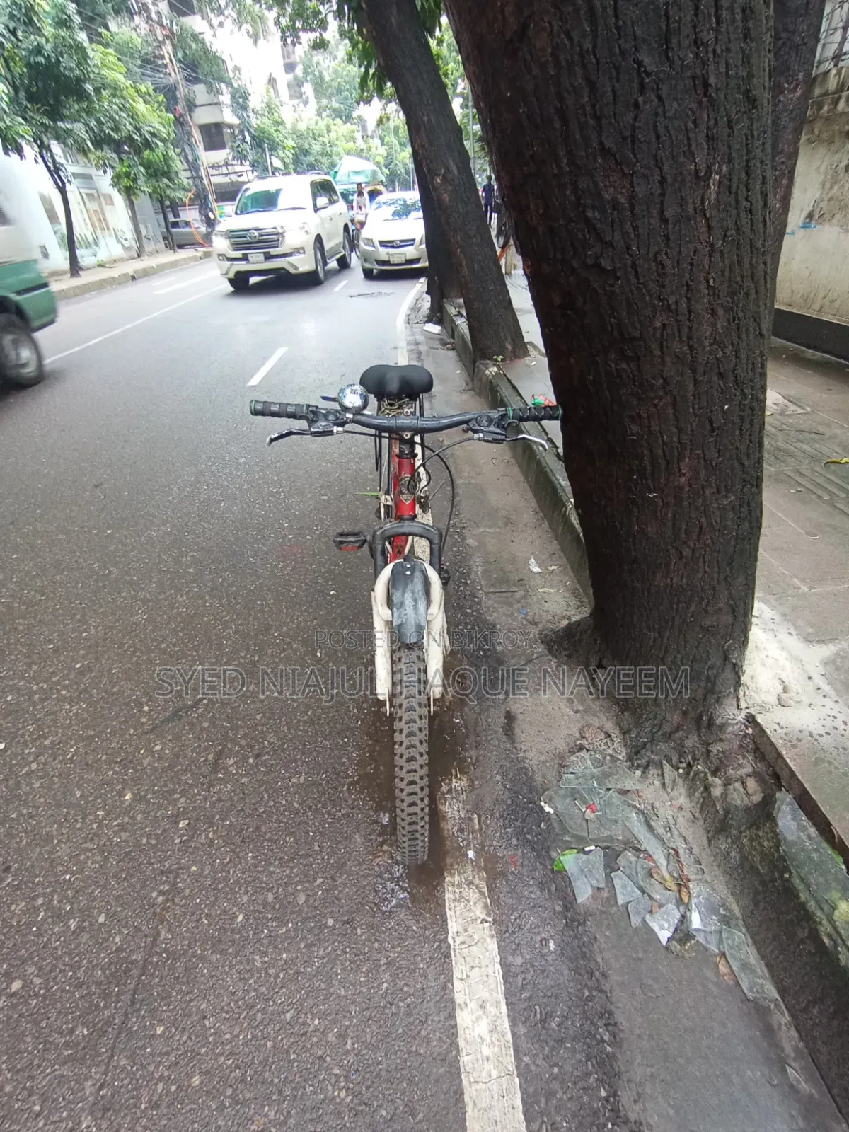 Cycle Lion Focus 26
